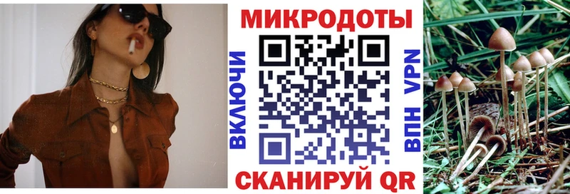 Галлюциногенные грибы GOLDEN TEACHER  магазин  наркотиков  Нижнекамск 