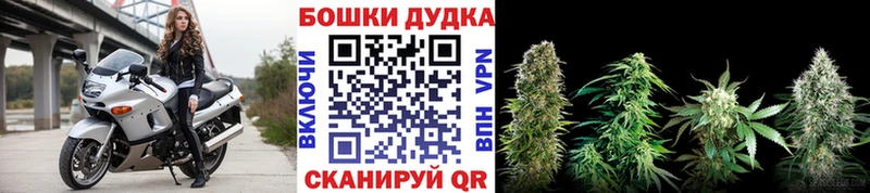 Каннабис гибрид blacksprut вход Нижнекамск